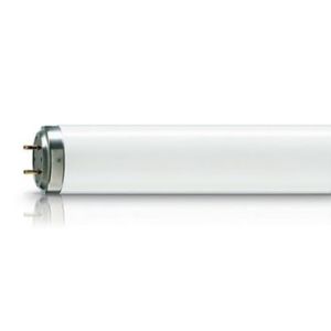 GE COOL WHITE FLUORESCENT LAMPS